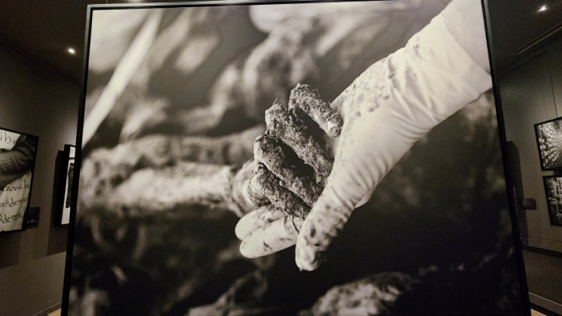 11/07/95 Galerisi insanlık hafızasını canlı tutuyor