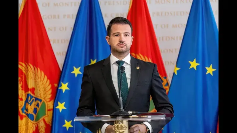 Karadağ Cumhurbaşkanı Milatovic: AB üyeliğinin tek yolu reform