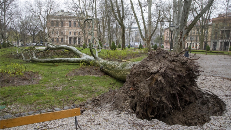 Vjetar rušio stabla u Zagrebu, otkazana nastava u školama