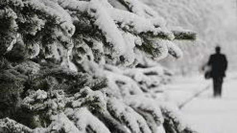 Bllokohet për kamionë rruga Pejë-Kullë-Rozhajë, kërkohen pajisje dimërore për automjetet