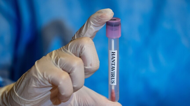 Američka zdravstvena agencija klasifikovala hantavirus kao vanredni odgovor 