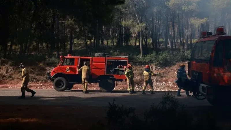 WWF je izvijestio da je požar zapadno od Atine izgorjelo više od 10.000 hektara