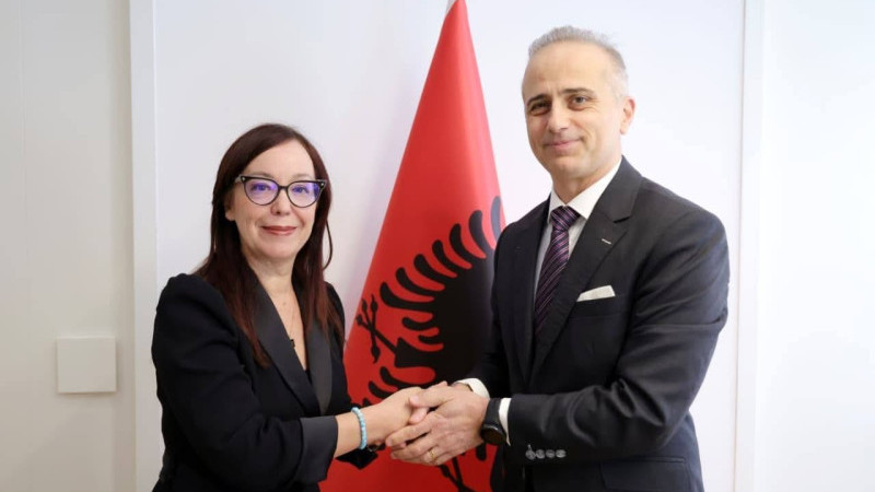 Türkiye ile Arnavutluk arasında sağlık iş birliği görüşmesi