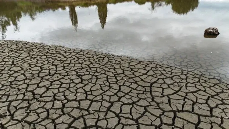 Kako bi El Nino mogao utjecati na potrošačku korpu: Pet globalnih roba pod rizikom