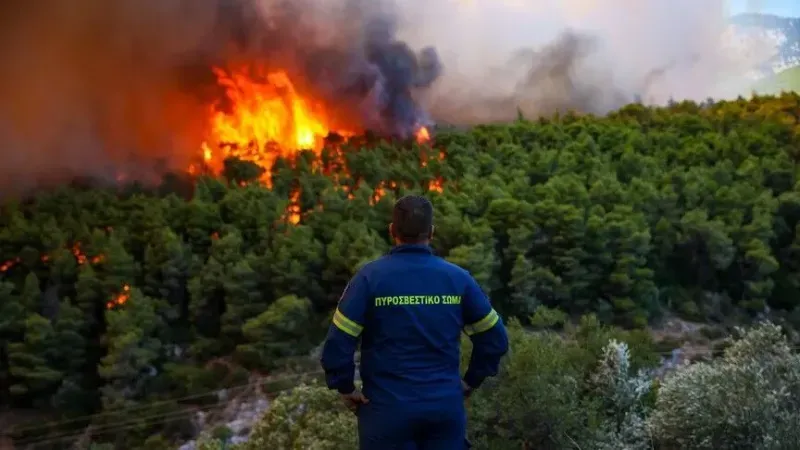 Yunanistan’da 1 haftadır süren yangında 629 hektar alan zarar gördü