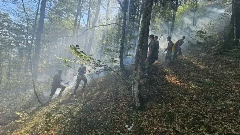 Stavljeni pod kontrolu požari na Plješevici i u Žegaru kod Bihaća