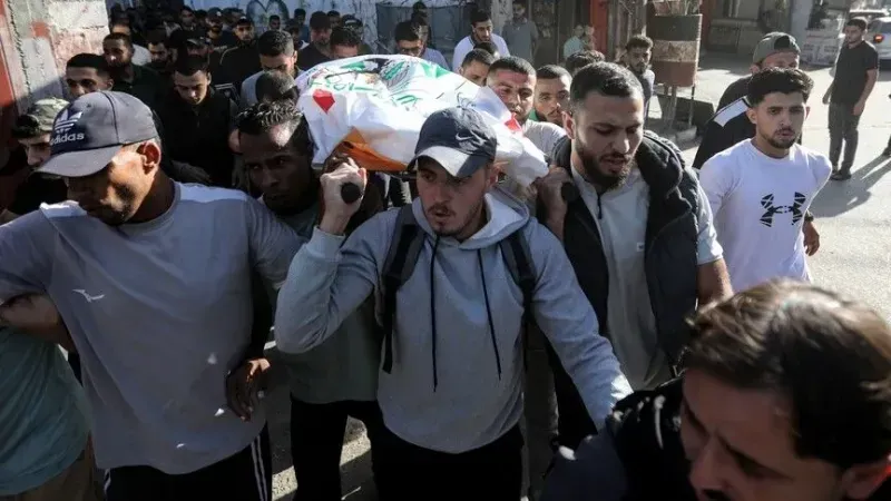  2 Palestinians killed in Israel's ongoing violations of Gaza ceasefire